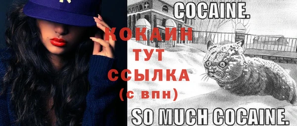 СК Ладушкин