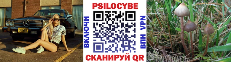 МЕГА ONION  цена наркотик  Новотитаровская  Галлюциногенные грибы MAGIC MUSHROOMS 